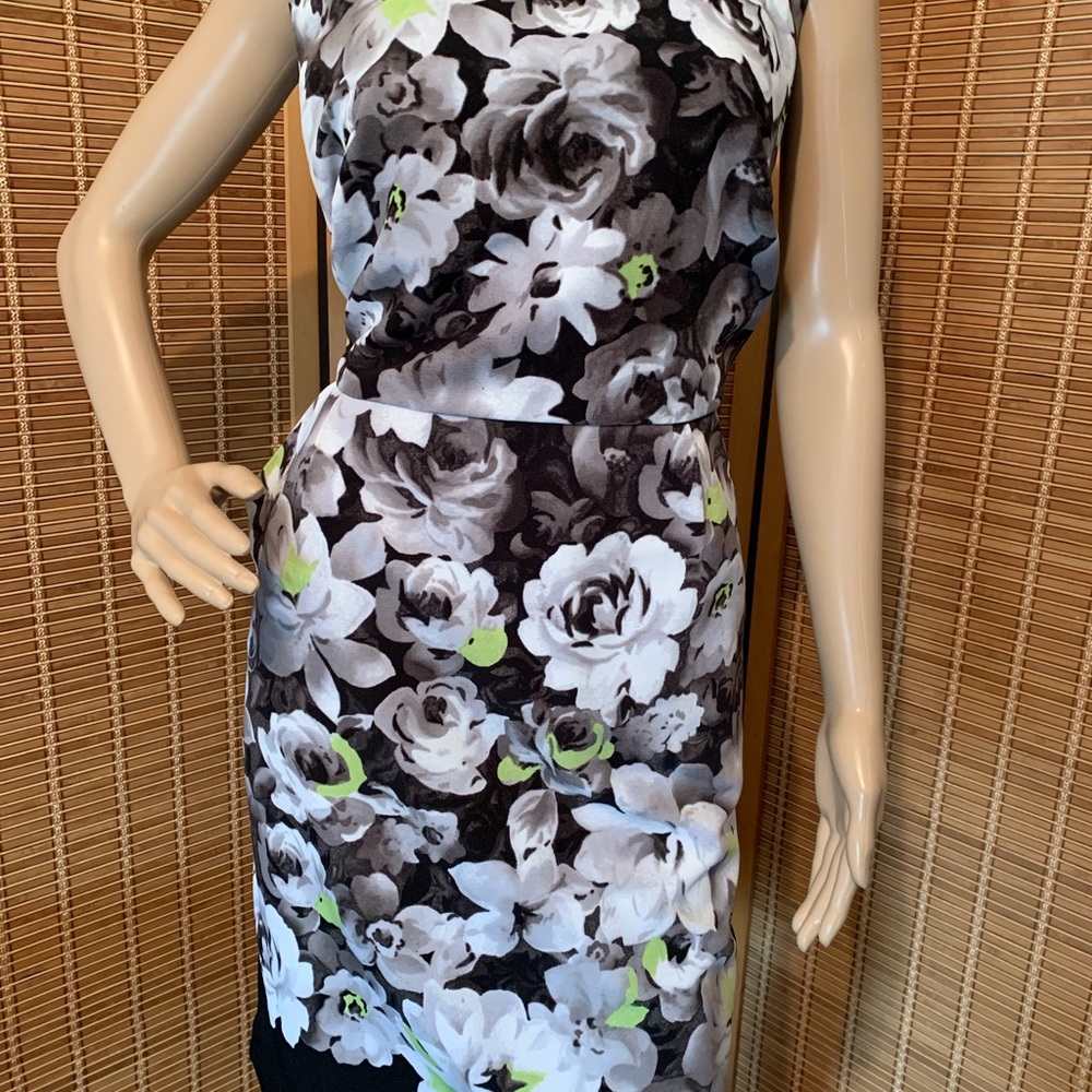 Dress Barn Dress